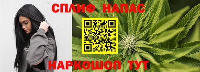 СК Краснознаменск