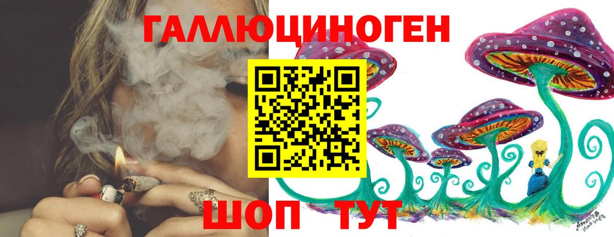 Чита  Псилоцибиновые грибы MAGIC MUSHROOMS  наркошоп  Вход с VPN 